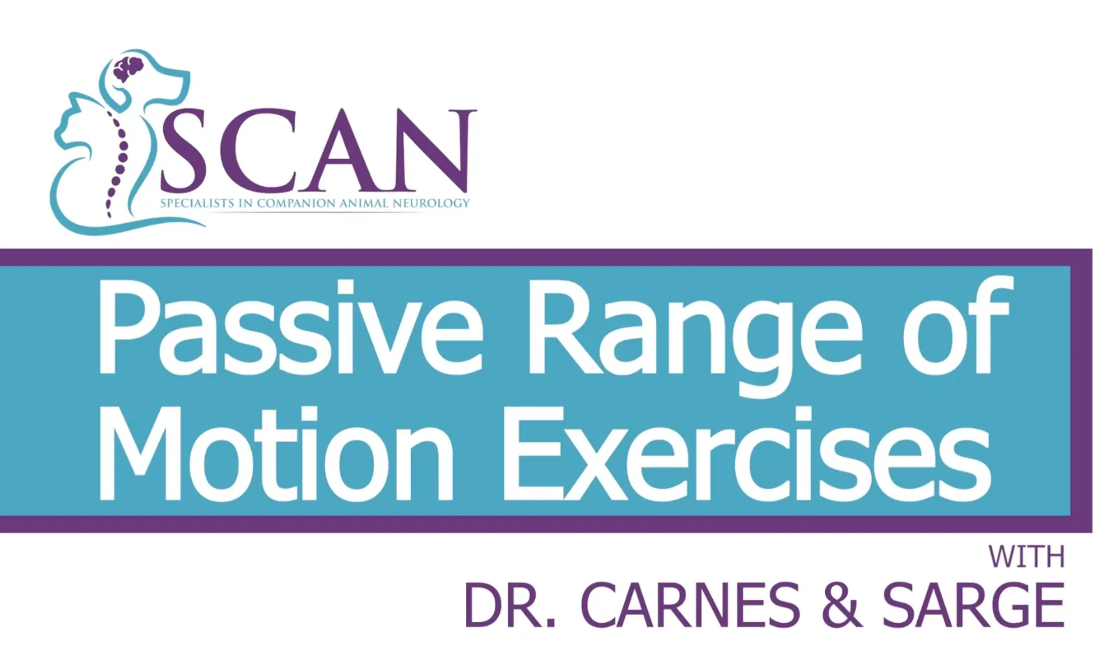 Dr. Carnes explains Passive Range of Motion exercises
